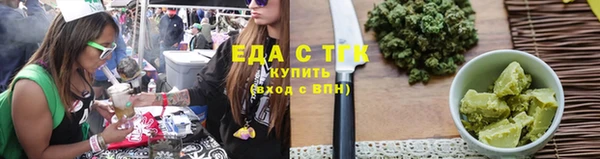 прущие грибы Инта