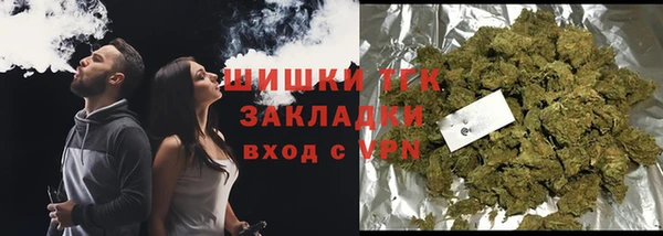 мдпв Волоколамск